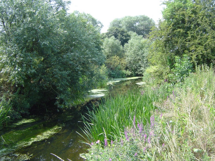 river roding 2 by peter house and carol murray.jpg